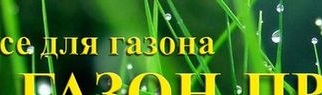 Газон это дерновый покров