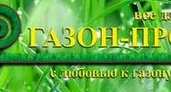 КАК самостоятельно ПОСЕЯТЬ ГАЗОН