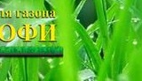 РУЛОННЫЙ ГАЗОН. ПРЕИМУЩЕСТВА РУЛОННЫХ ГАЗОНОВ. ВИДЫ РУЛОННЫХ ГАЗОНОВ